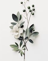 product-compare-59367098