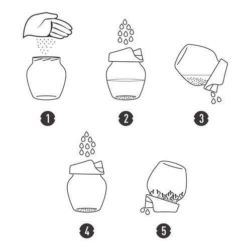 Kiełkownica słoikowa Twist-off + nasiona na Arena.pl