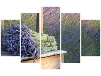 70 100CM OBRAZ 5 ELEM BUKIET LAWENDY DRUK PŁÓTNO