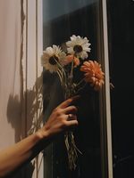 product-compare-59366795