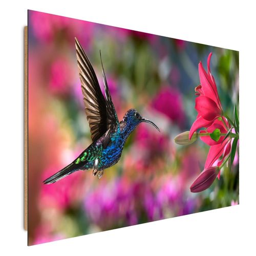 Deco Panel, Koliber 3 70x100 na Arena.pl