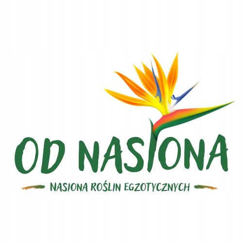 Nawóz do palm PALM FOCUS 1L Growth Technology idealnie zbilansowany na Arena.pl