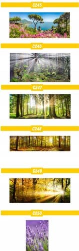 PLAKAT natura przyroda widoki lasy MORZE tanie! na Arena.pl