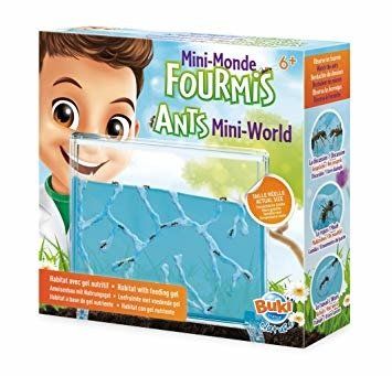Mini FORMIKARIUM FS4206 na Arena.pl