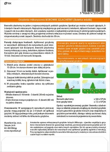 BOROWIK SZLACHETNY grzybnia mikoryzowa na Arena.pl