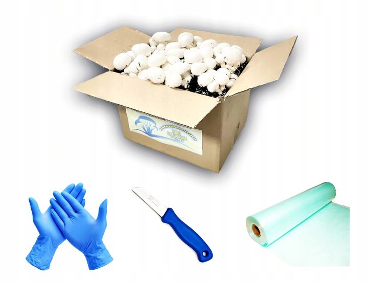 3 Faza Grzybnia Pieczarki Zestaw XL + gratis 6w1 zdjęcie 16