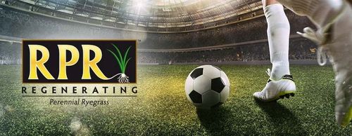 Trawa BARENBRUG RPR Lawn 1kg na Arena.pl