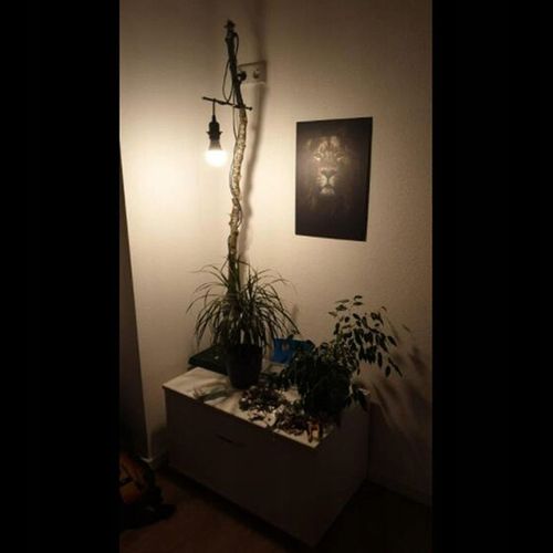 Gniazdo oprawa E27 z kablem włącznikiem wtyczką na Arena.pl