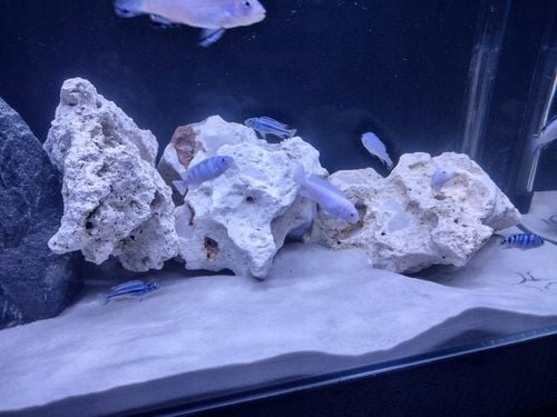 Naturalnie Biały Piasek Kwarcowy do Akwarium 0,5-1mm 24kg na Arena.pl