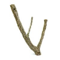 BioBranch 30cm Gałąź Dębu