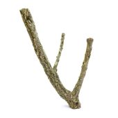 BioBranch 30cm Gałąź Dębu