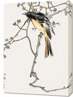 Obraz 50x70cm Siberian Blue-Tail, Kashu Japoński Vintage