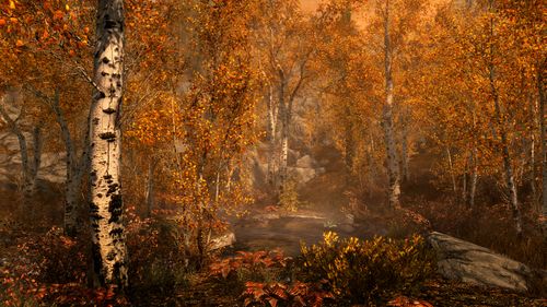 The Elder Scrolls V: Skyrim Special Edition Klucz Steam na Arena.pl