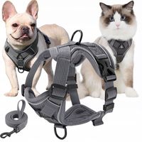 SZELKI BEZUCISKOWE TYPU GUARD + SMYCZ dla KOTA PSA