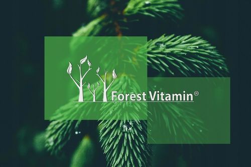 FOREST VITAMIN L-TREONIAN MAGNEZU 50g CZYSTY PROSZEK L-THREONATE MAGNEZ na Arena.pl