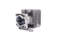 Cylinder CEDRUS dmuchawa DM03 070476