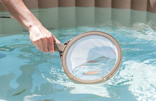 Zestaw czyszczący do basenów Spa Intex #28004 siatka szczotka gąbka na Arena.pl