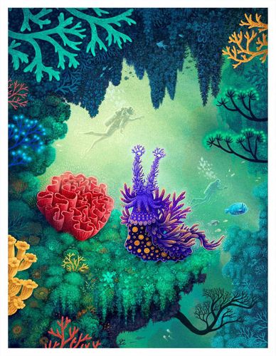 Ośmiornica Zośka na Arena.pl