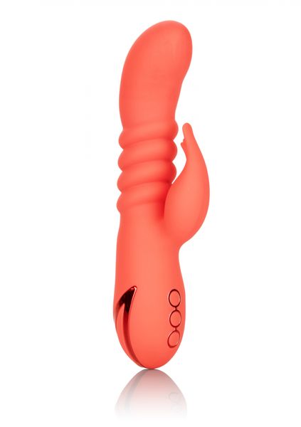 orange county cutie orange zdjęcie 1