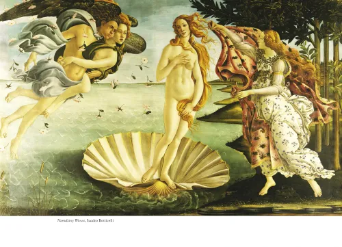 Ciało. Arcydzieło siedmiu milionów lat ewolucji na Arena.pl