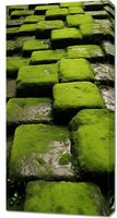 Obraz 50x100cm Zielona Mozaika