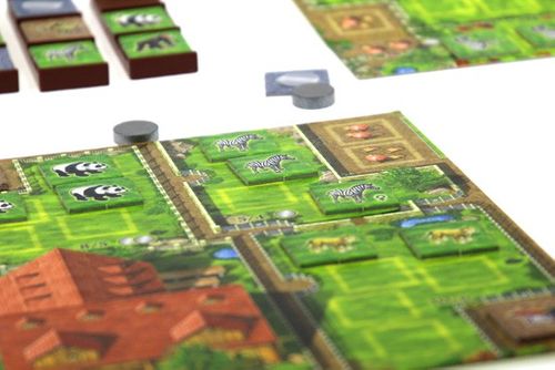 G3 Gra Zooloretto (edycja 2016) na Arena.pl