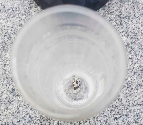 WKŁADY DO ZNICZY OLEJOWE 14 CM NIE DYMIĄCE ZNICZE ZE WZMACNIANY KNOTEM S-2 na Arena.pl