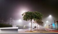 Fototapeta DRZEWO ULICA NOCĄ WE MGLE WIDOK MIASTO