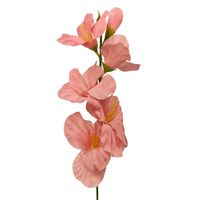 Mieczyk poj. łososiowy 12 szt