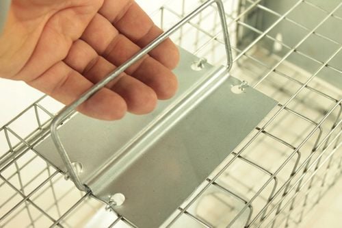 żywołapka pułapka na szczury gryzonie duża łapka na Arena.pl