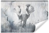 Fototapeta Ścienna SŁOŃ Beton Abstrakcja Nowoczesny Styl 400cm x 280cm