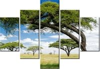 product-compare-58677056