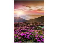 50X70CM PIĘKNY KRAJOBRAZ OBRAZ PION ŚCIAN