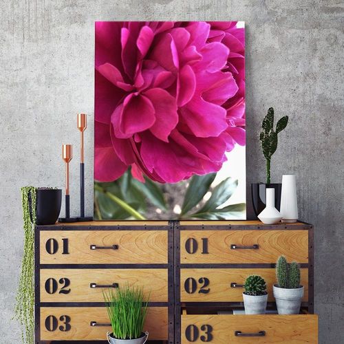 Deco Panel, Różowa piwonia 40x60 na Arena.pl