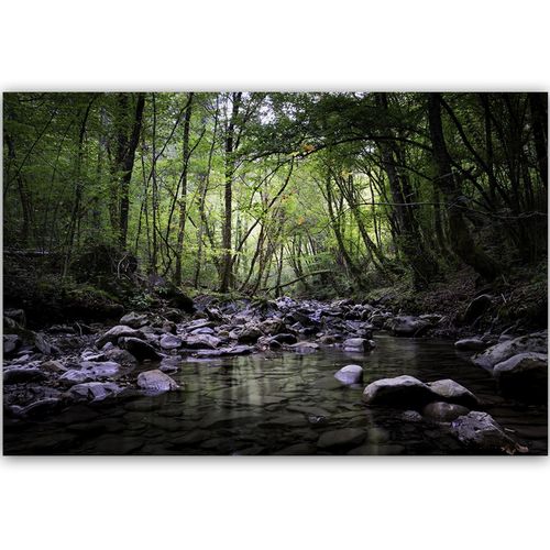 Deco Panel, Leśny strumyk 60x40 na Arena.pl