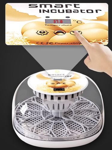 INKUBATOR DO JAJEK AUTOMATYCZNY KLUJNIK WYLĘGARKA WYLĘGARNIA DO 12 JAJ na Arena.pl