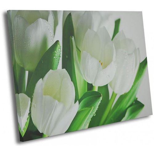 Obraz na płótnie - Canvas, Białe Tulipany 80x60 na Arena.pl