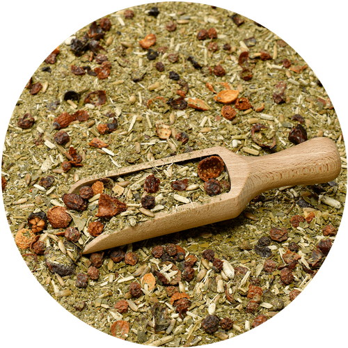 Guarani Wild Jungle 0,5 kg na Arena.pl