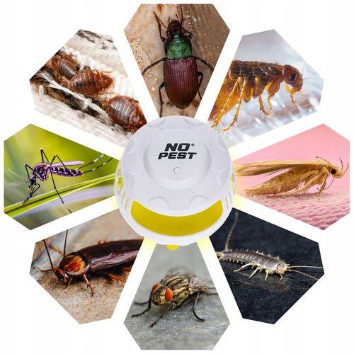 PUŁAPKA LEPOWA LEP LAMPA NA PLUSKWY PCHŁY KOMARY MUCHY CHRZĄSZCZE MOLE na Arena.pl