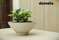 DONICZKA PLANET 290 A1