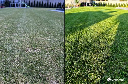 GRUNMAX - Green expert wiosenny nawóz do trawy, trawnika , PREMIUM 20kg na Arena.pl