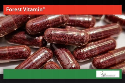 LIKOPEN 60kaps LYCOPENE PROSTATA SERCE MOCNY 20mg na Arena.pl