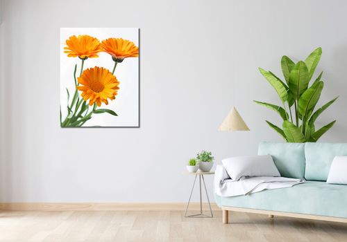 Obraz 70x90cm Słoneczne Kalendule na Arena.pl