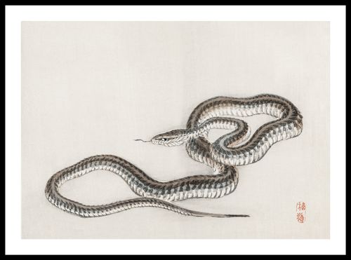 Plakat 59,4x42cm Snake, Kōno Bairei na Arena.pl