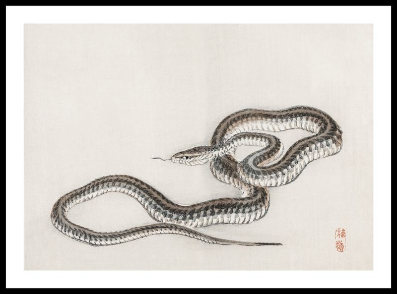 Plakat 59,4x42cm Snake, Kōno Bairei zdjęcie 3