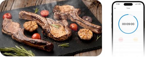 SONOFF Termometr Do Mięsa BBQ BMT01 Pomiar Od 0 Do 300 Stopni Bluetooth na Arena.pl