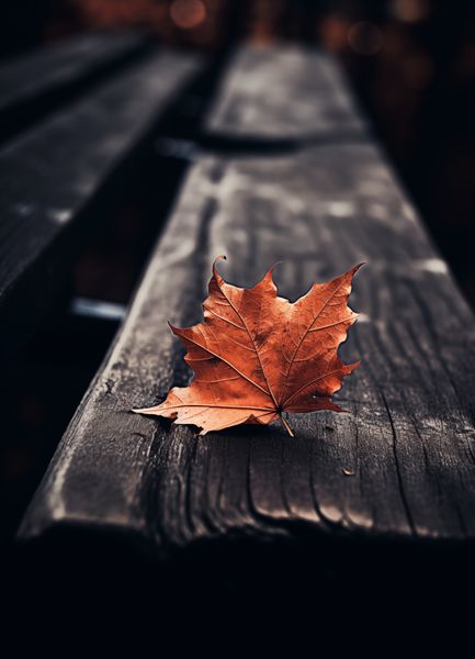 Plakat 13x18cm Pojedynczy Liść zdjęcie 1