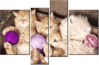 130CM 85 OBRAZ 4 ELEM ŚPIĄCE KOTY MISCE ŚCIENNY