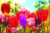 product-compare-58693917