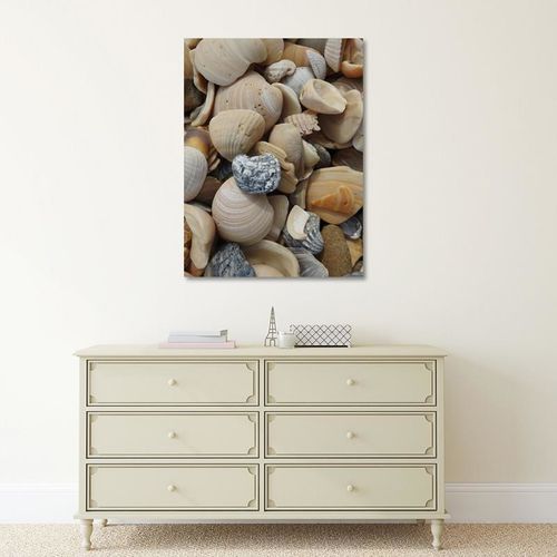 Deco Panel, Muszelki 2 80x120 na Arena.pl